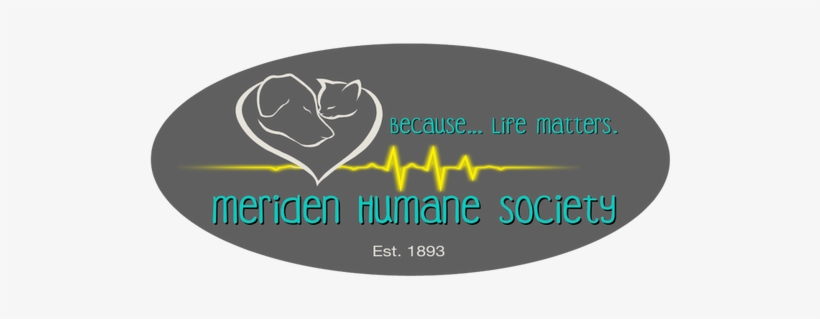 Local Businesses - Graphic Design, transparent png download