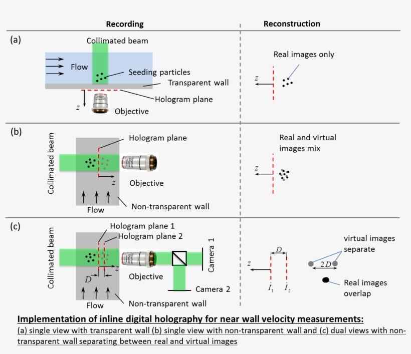 During The Reconstruction, The Real Images Overlap, - Hologram Real Image Virtual, transparent png download