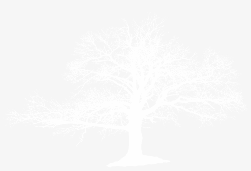 Bad Tree Fine Arts - Poetic Narration Of Margaret Mitchell's Gone, transparent png download