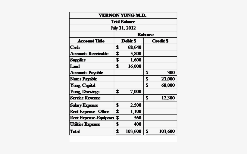 Png Library Drawing Accounts Capital - Vernun Yung Md Trial Balance, transparent png download
