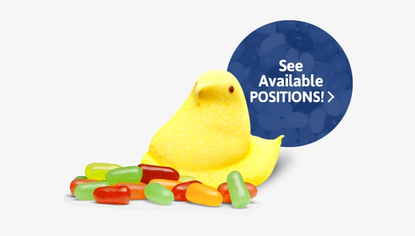 Job Openings In Bethlehem Pa - Peeps Hd Transparent, transparent png download