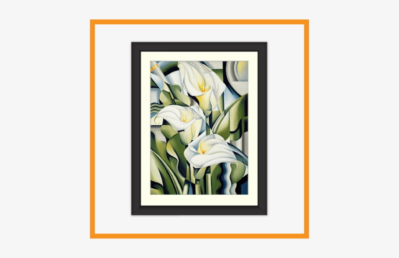 Floral - Catherine Abel Botanical Art, transparent png download
