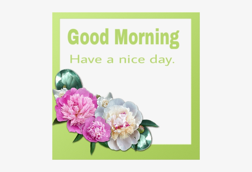 Good Morning Flowers Unique Image Thank You Floral Png Image