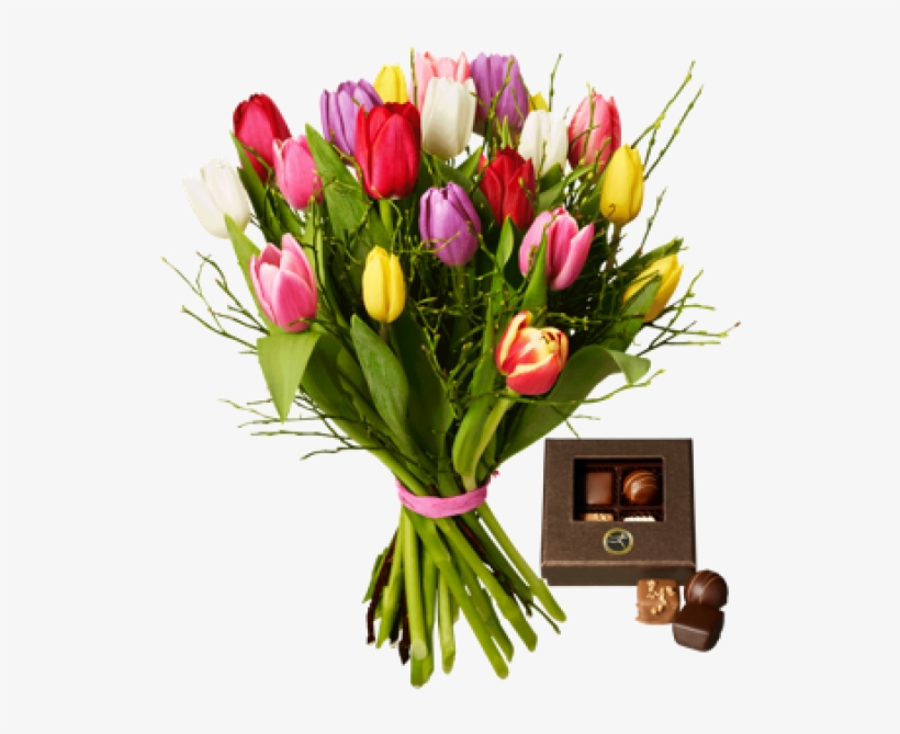 A Dash Of Tulips - Tulip, transparent png download