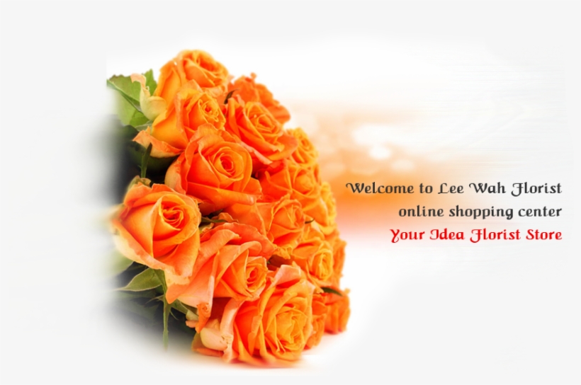 Regina Coeli Art & Hair, transparent png download