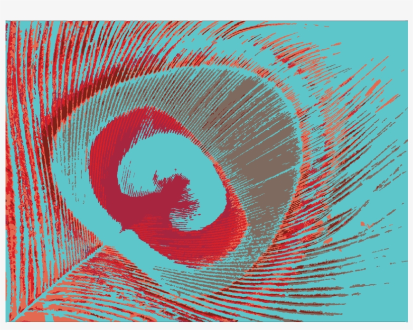 Peacock Feather - Graphic Design, transparent png download