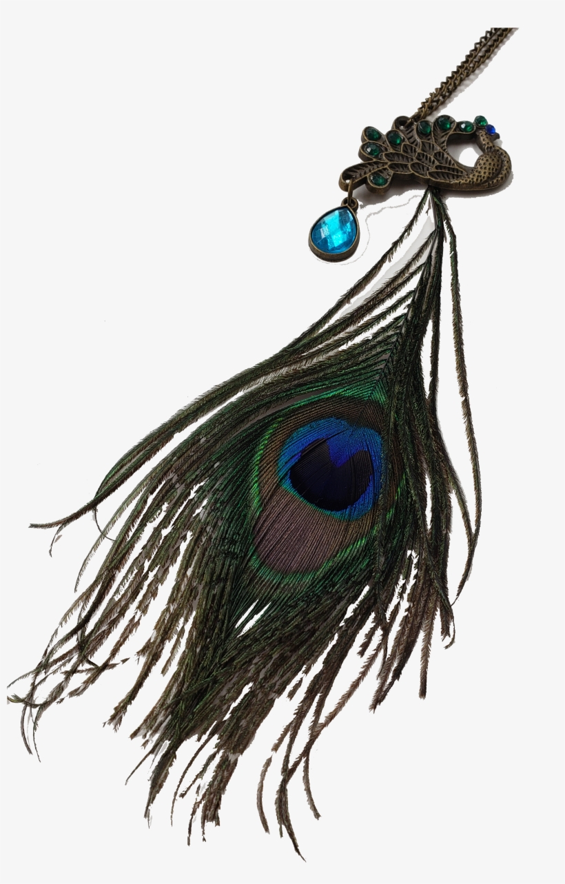 Exotica Peacock Feather Necklace - Necklace, transparent png download
