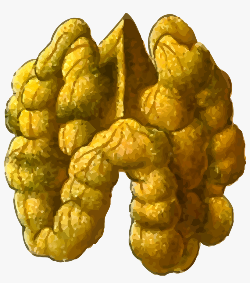 Vegetarian Cuisine English Walnut Download - Walnut, transparent png download