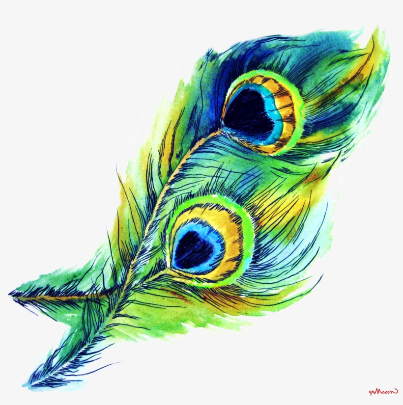 Peacock Feather - Krishna Preme [audio Cd] Rajkumar Roy, transparent png download
