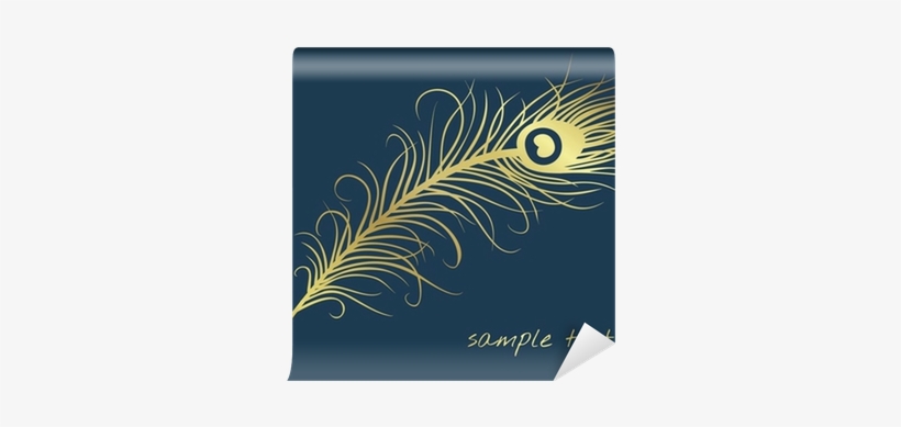 Beautiful Peacock Feather, Wilderness, India Wall Mural - Feather, transparent png download