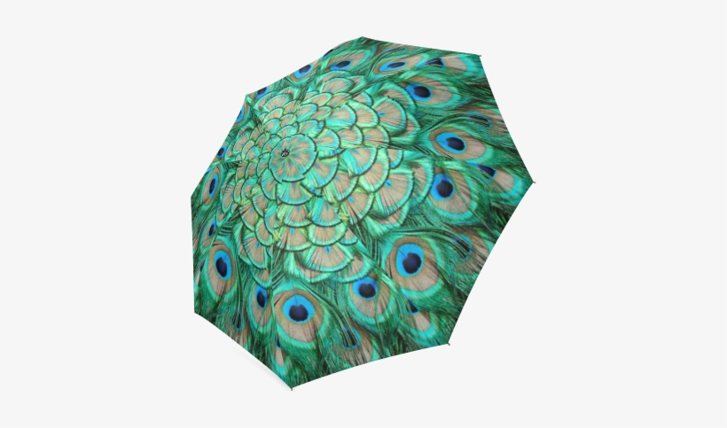 Interestprint Stylish Peacock Feather Fold Umbrella, transparent png download