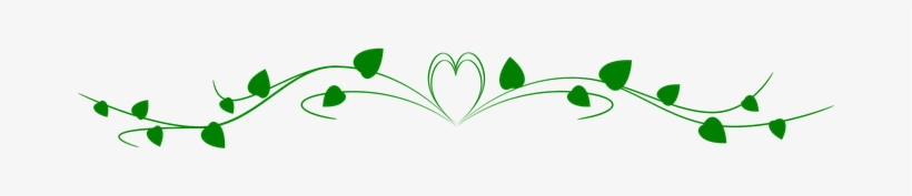 Ornament Heading Paradise Riflebird Nature - Vine Clipart Black And White, transparent png download