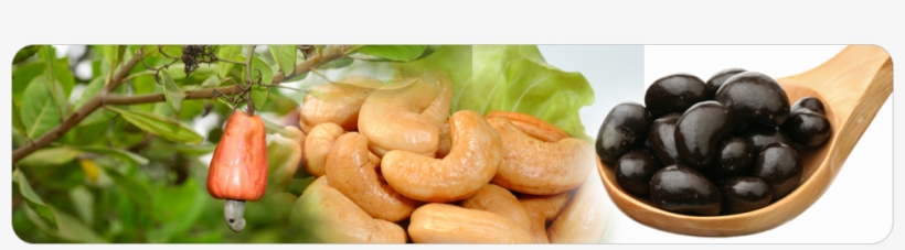 Raw Cashew Nuts Banner, transparent png download