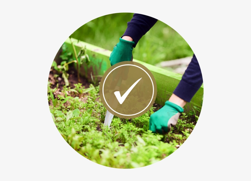 Quality Suppliers - Gardeners Jobs Istock, transparent png download