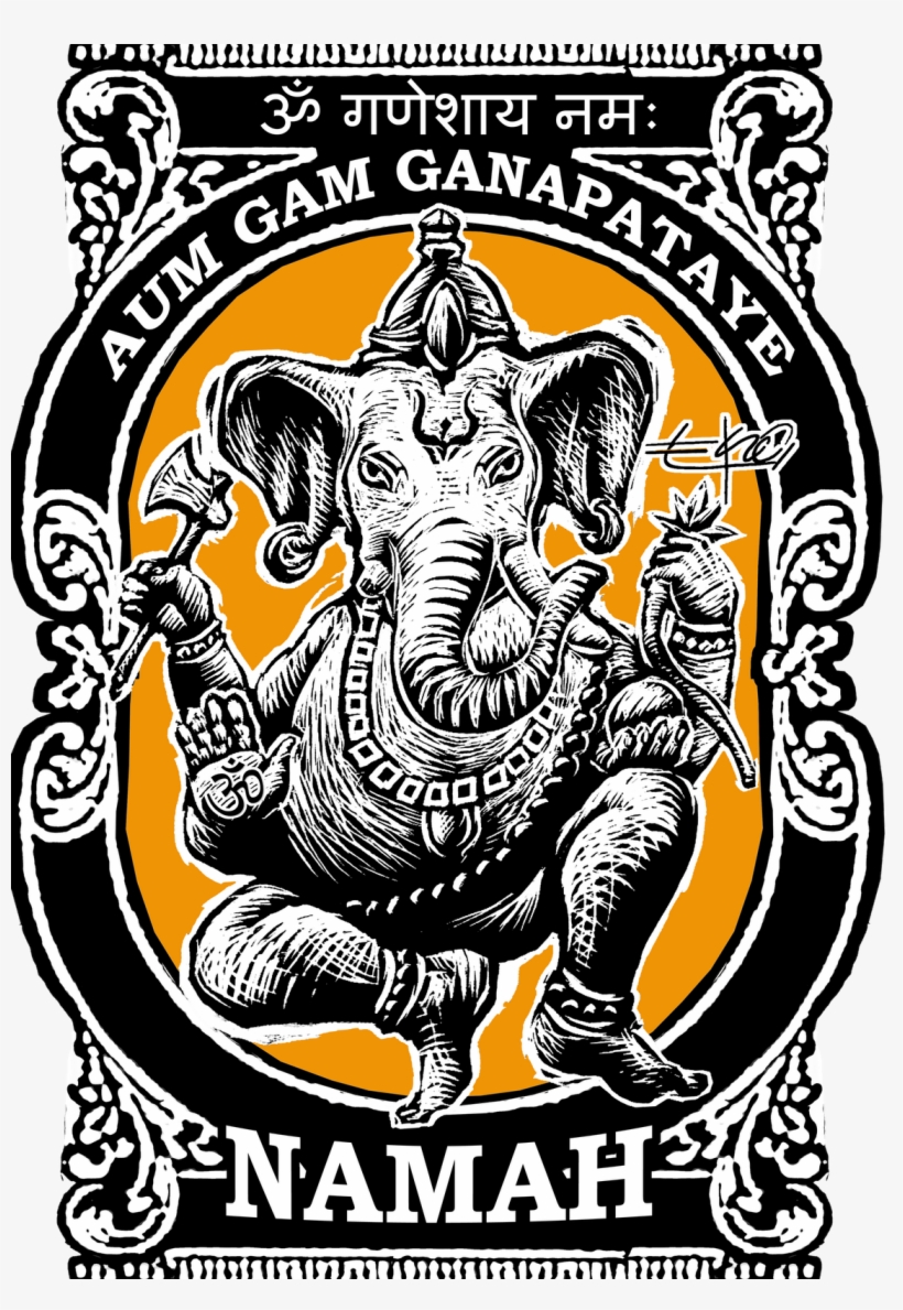 Ficus - Foto - Agenzia Nazionale Stampa Associata Soc. Coop., transparent png download