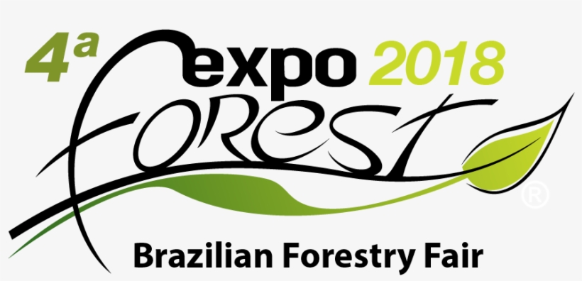 Forest, transparent png download