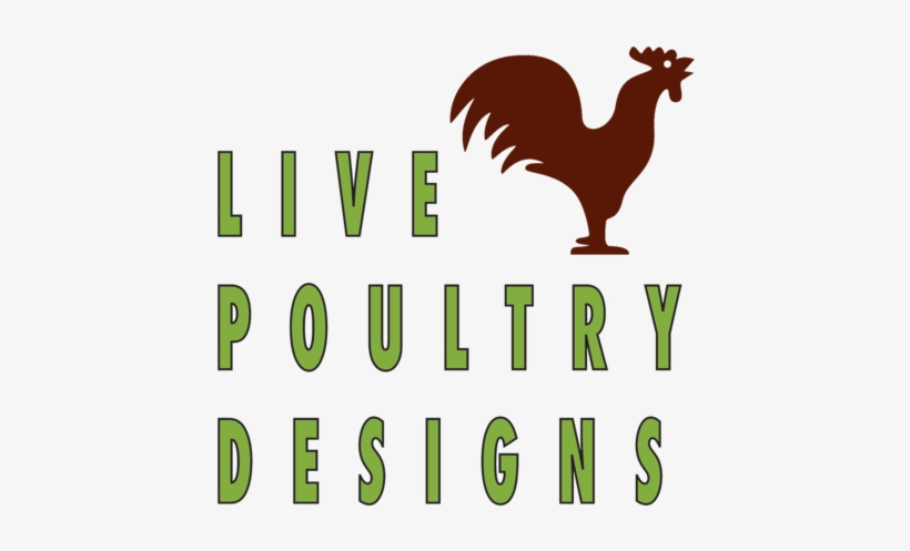 Live Poultry Designs Live Poultry, Graphic Tees, Graphic - Chicken, transparent png download