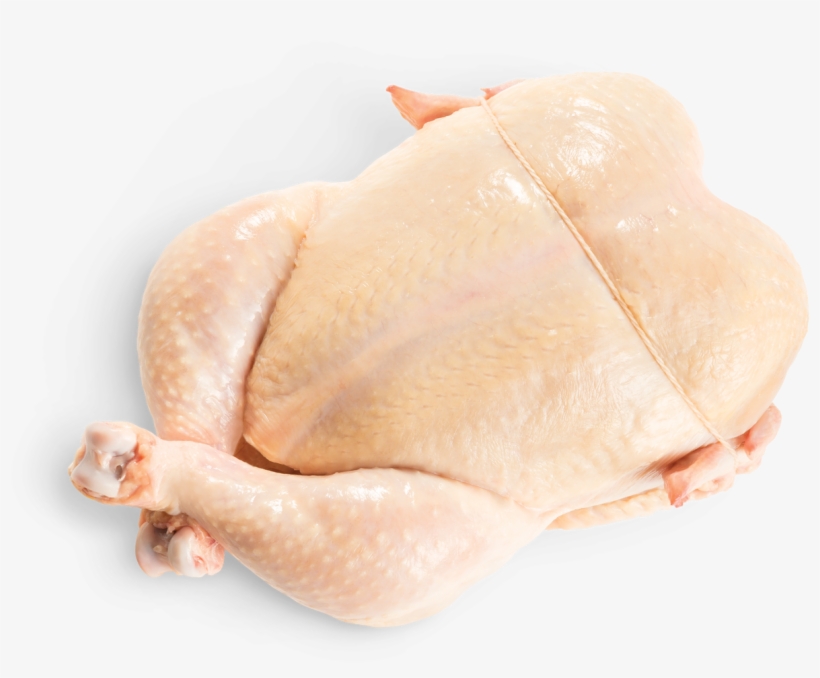 Our Chicken - Sculpture, transparent png download