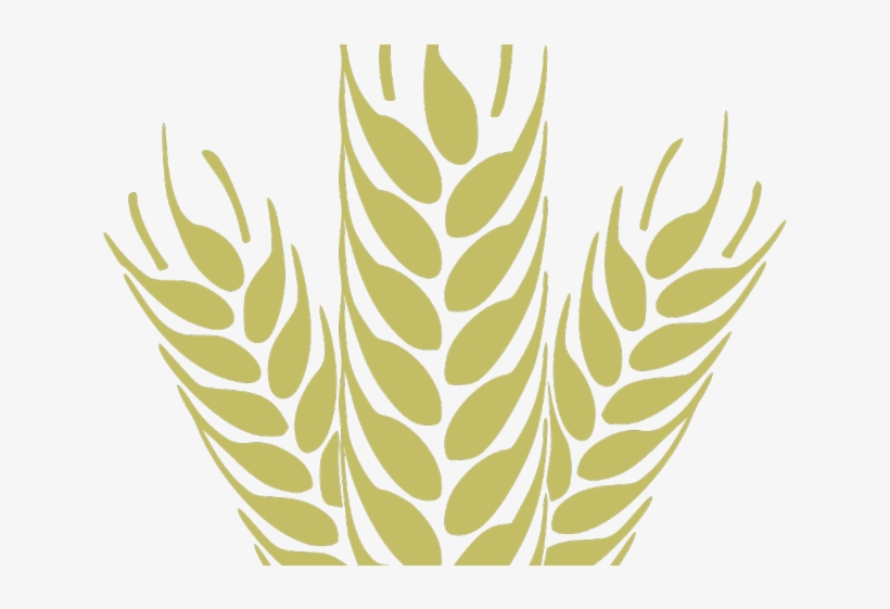 Wheat Clipart Trigo - Wheat Clipart Transparent, transparent png download