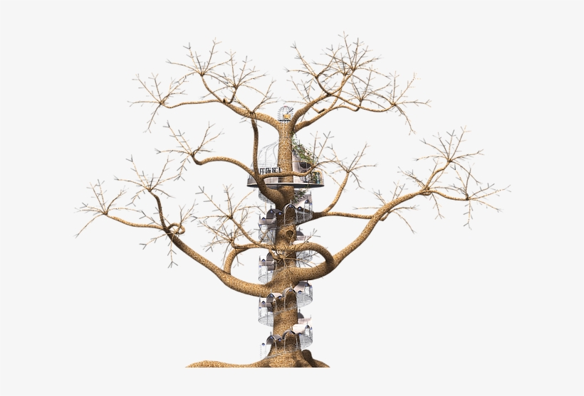 Tree Fantasy Spiral Staircase Fairy Tales - Wendeltreppe Um Baum, transparent png download