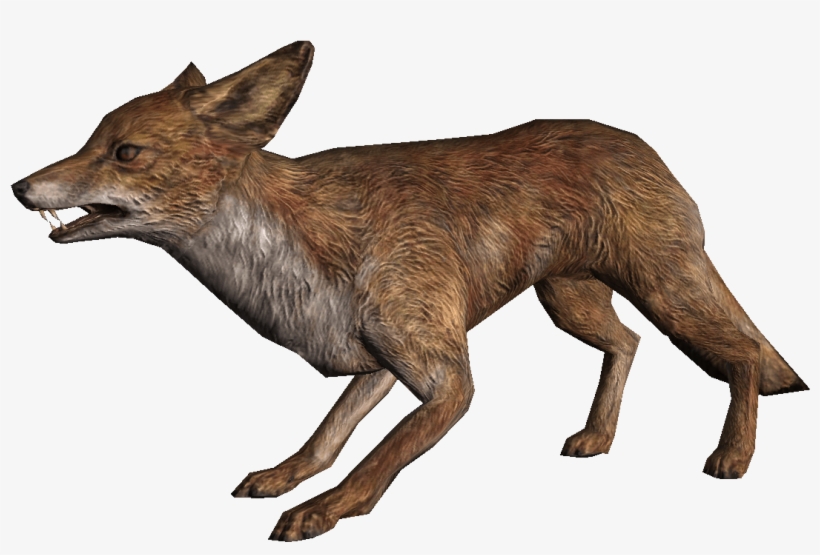 As I've Mentioned, My Favorite Video Game Of All Time - Renard Skyrim, transparent png download