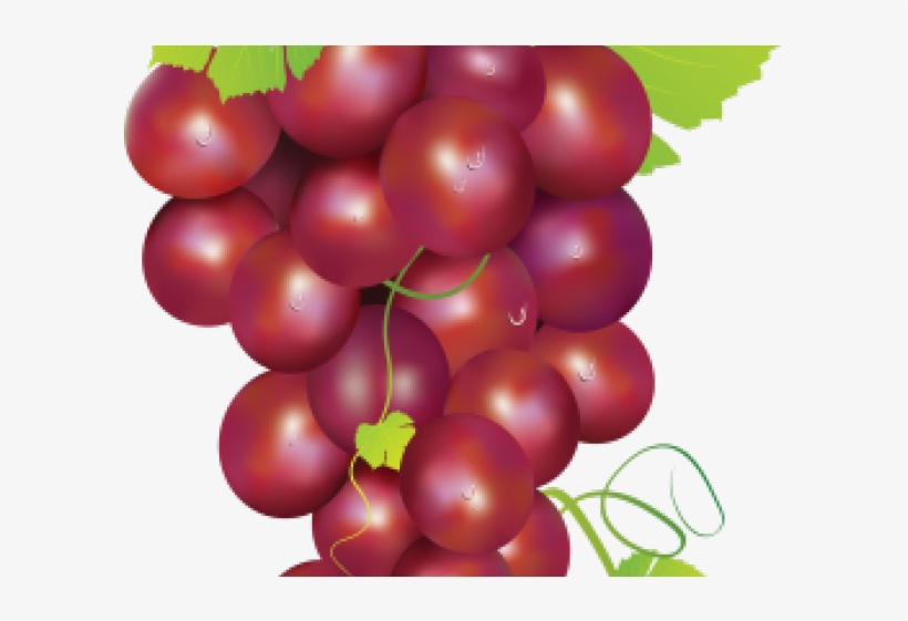 Grapes Clipart Two - Grape, transparent png download