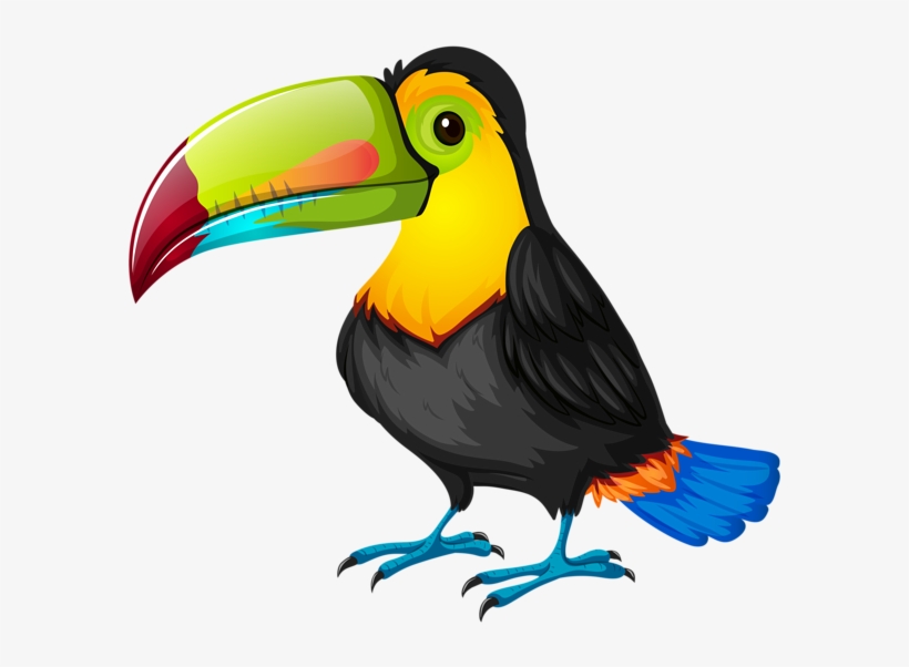 Jpg Freeuse Download Png Transparent Image Clip Art - Toucan Cartoon, transparent png download