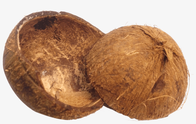 Free Png Coconut Shell Png Images Transparent - Coconut Png, transparent png download