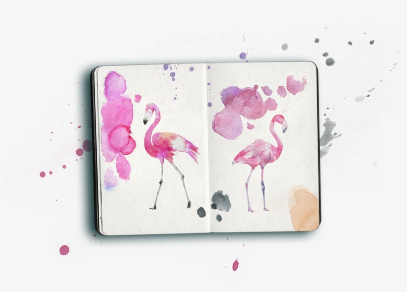 Work In Progress / Search / Real Products - Greater Flamingo, transparent png download