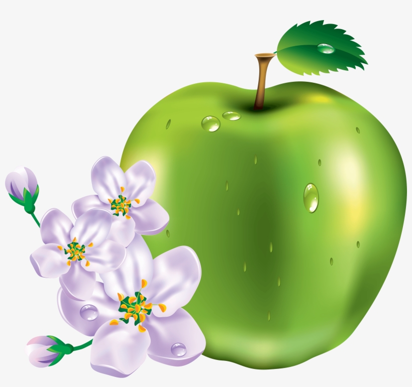 Green Apple Png Image - Green Apple With Flower Png, transparent png download