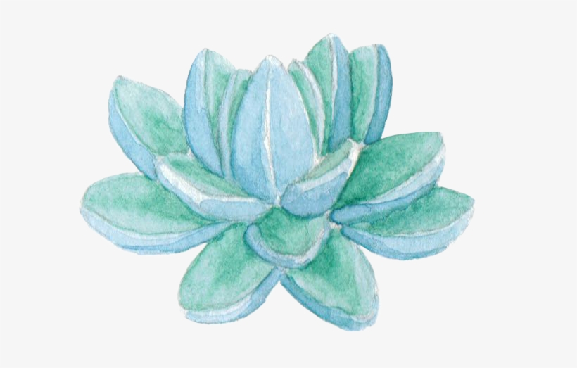 Succulent - Homeschooling, transparent png download