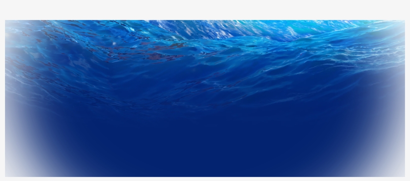 Moana, transparent png download