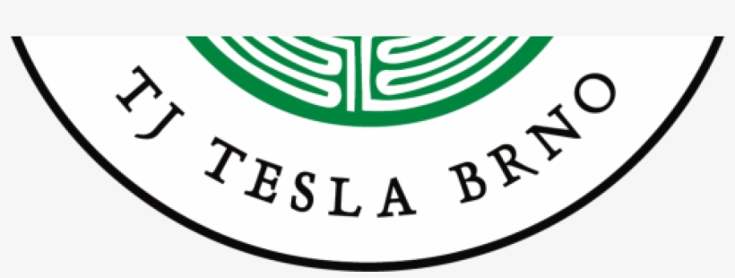 Cropped Cropped Cropped Karate Tesla Logo - Te Kiero Demasiado, transparent png download