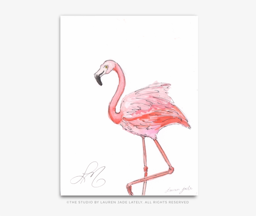 Flamingo No - Three - Greater Flamingo, transparent png download
