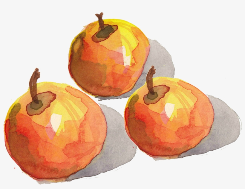 Apple, transparent png download