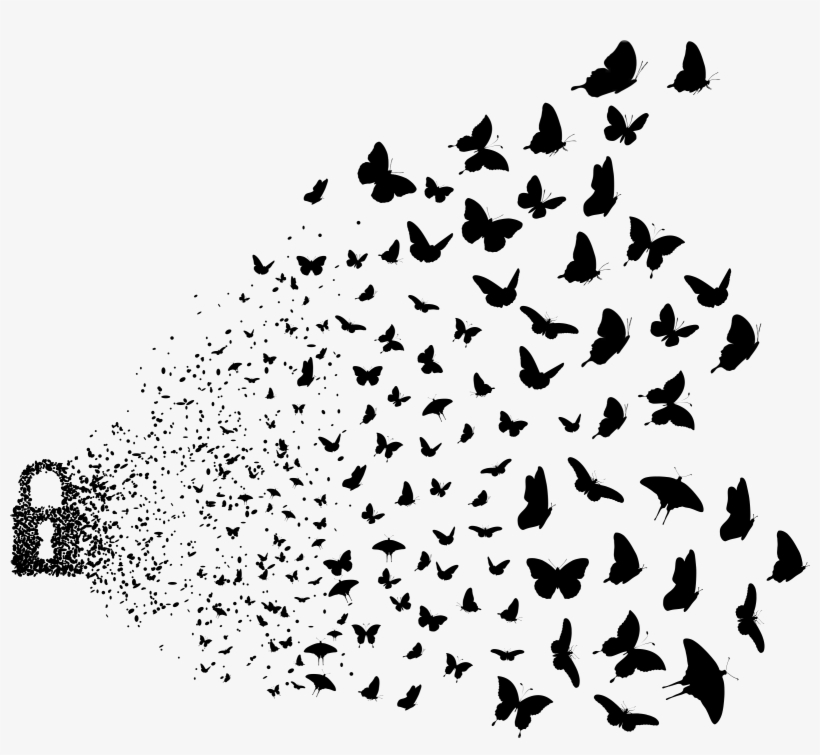Art Birds Butterfly Edited Png Photography Freetoedit, transparent png download