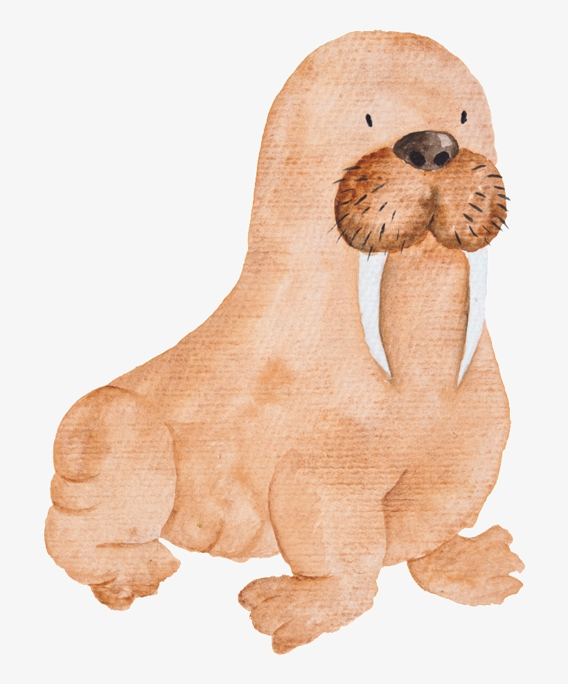 Brown Hand Painted Sea Elephant Cartoon Watercolor - Walrus Watercolor, transparent png download