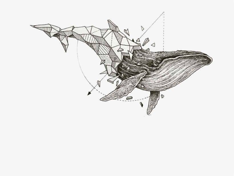 Drawing Geometry Watercolor - Kerby Rosanes Geometric Beasts, transparent png download