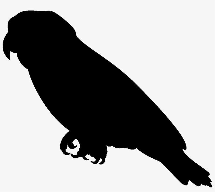 Parrot Clipart Silhouette - African Grey Parrot Silhouette, transparent png download