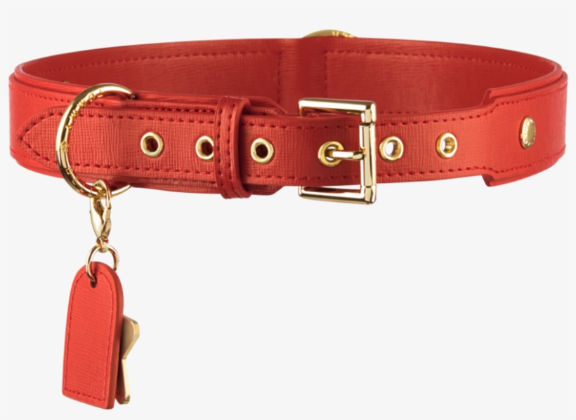Red Dog Paw Png - Dog Collar, transparent png download