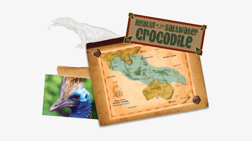 Click Above To Enlarge Our Saltwater Crocodile Range - Emu, transparent png download