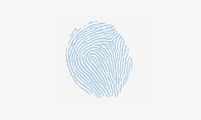 Fingerprint - Sketch, transparent png download