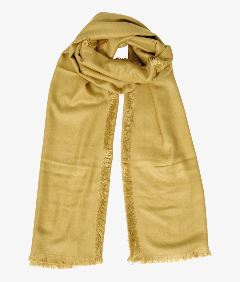 Jil Sander Women, transparent png download