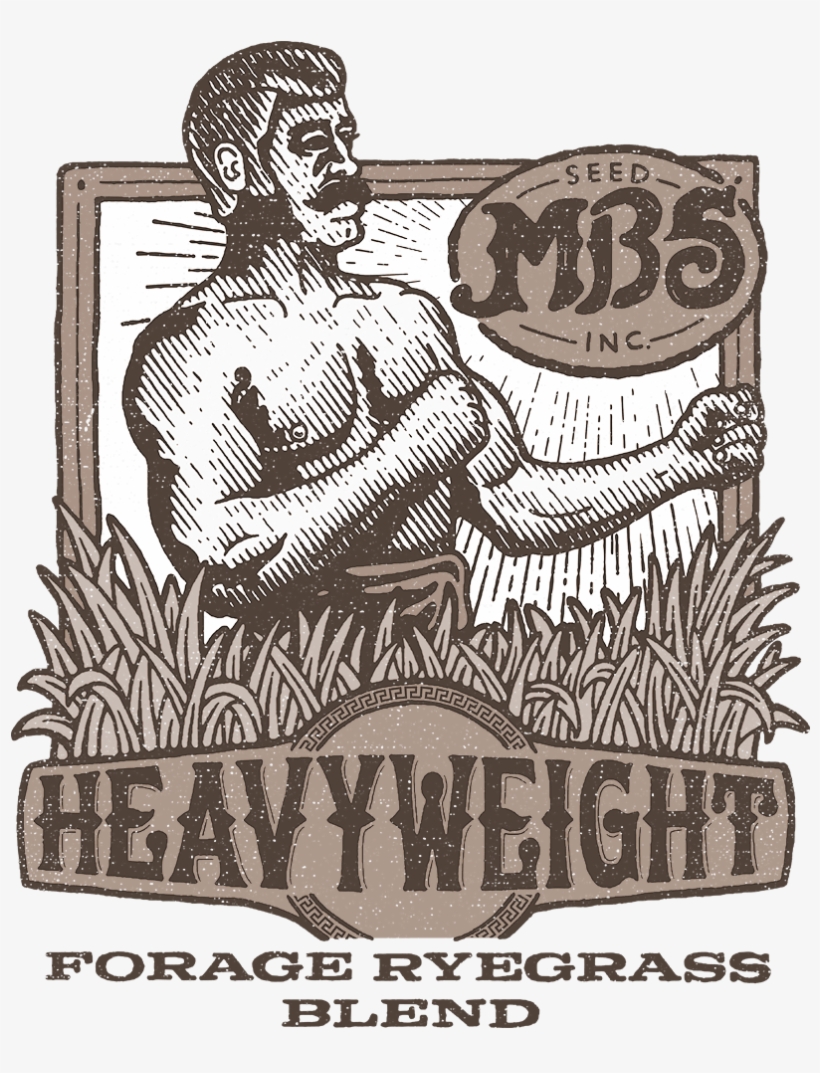 Lawn Clipart Forage - Illustration, transparent png download