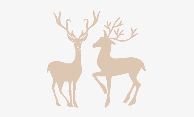 Http - //static - Tumblr - - Winter Png, transparent png download