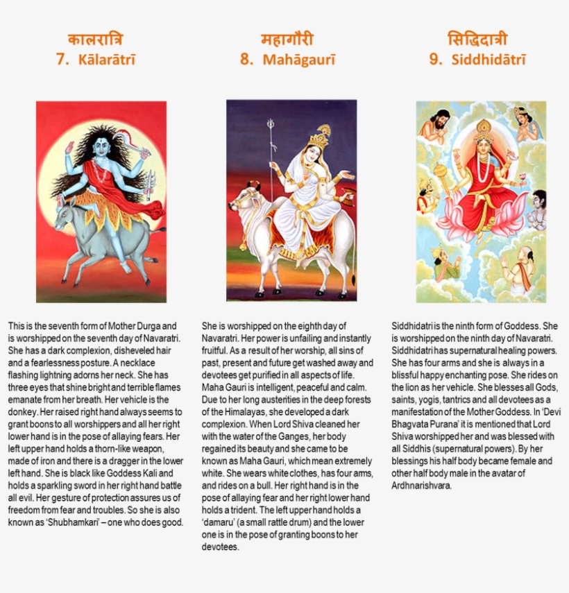 Picture - Maa Siddhidatri, transparent png download