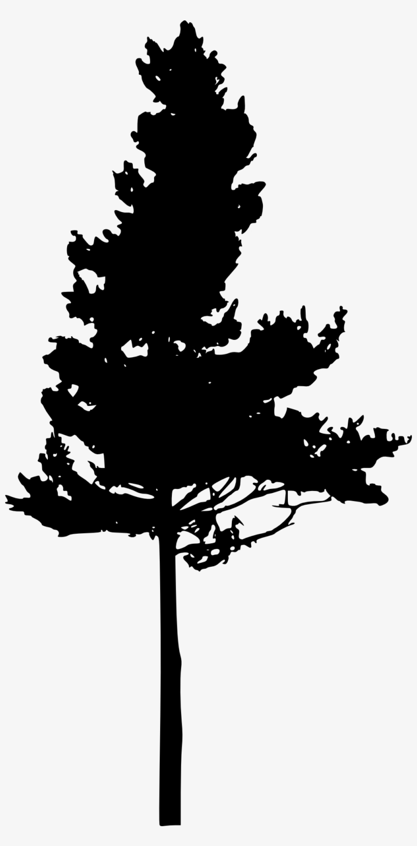 Pine Tree Png - Pine Tree Png Black, transparent png download