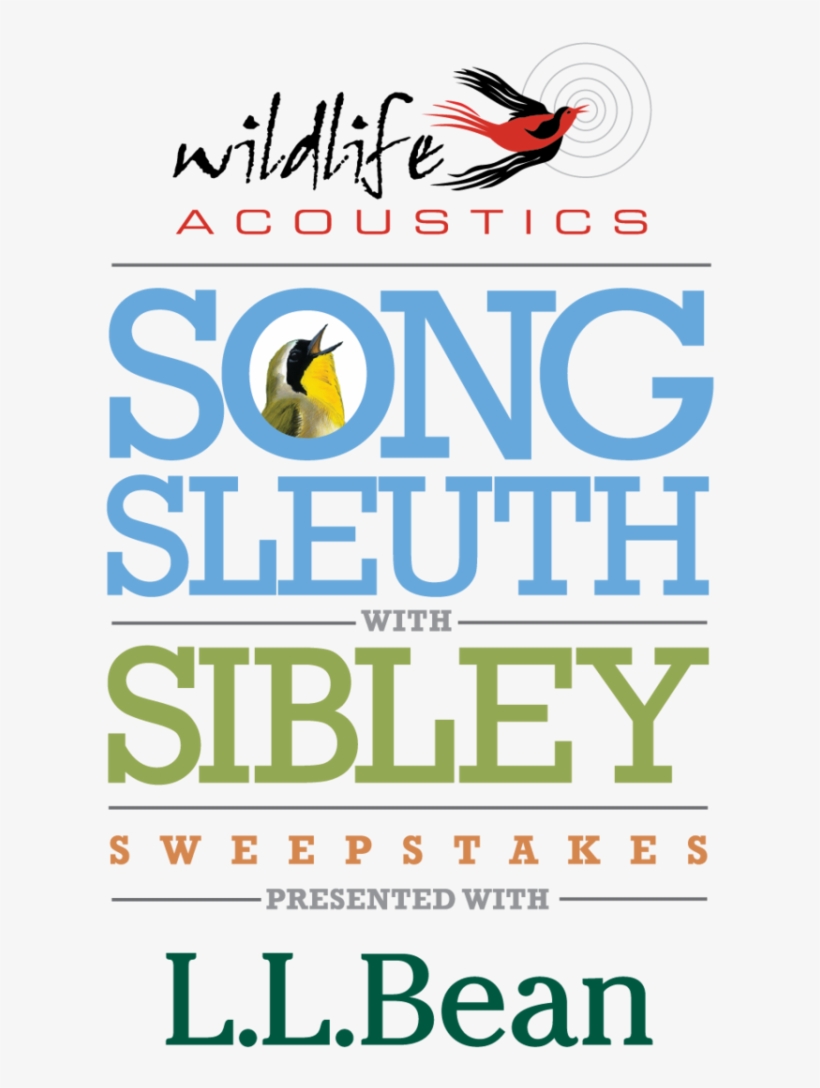 Wildlife Acoustics - Lichfield District Council, transparent png download