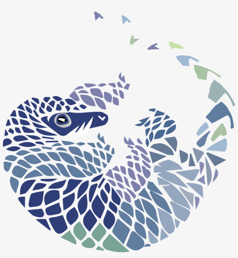 Pangolin Revised 2 - Illustration, transparent png download