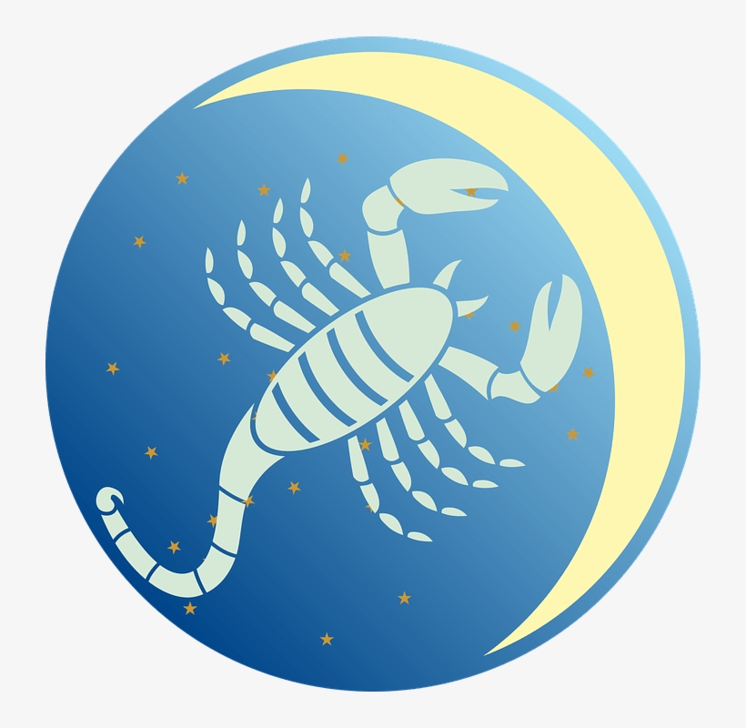 Scorpio Zodiac Sign Png, transparent png download